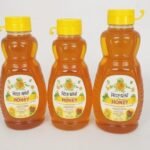 Plastic Honey Bottles Wholesale